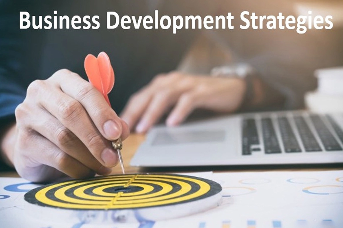 استراتژی های توسعه کسب و کار